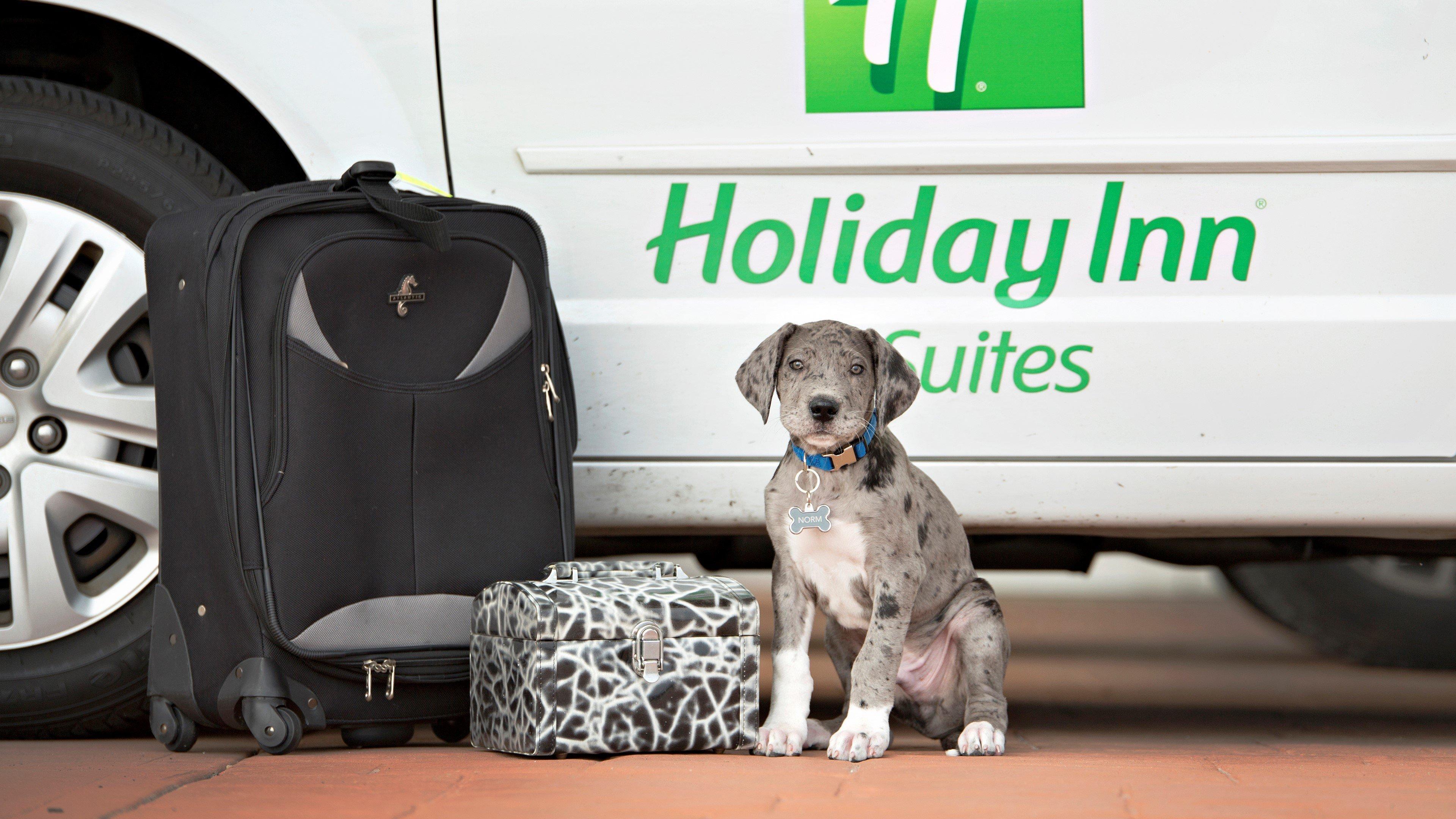 Holiday Inn Hotel & Suites Bloomington Airport By Ihg Exterior foto
